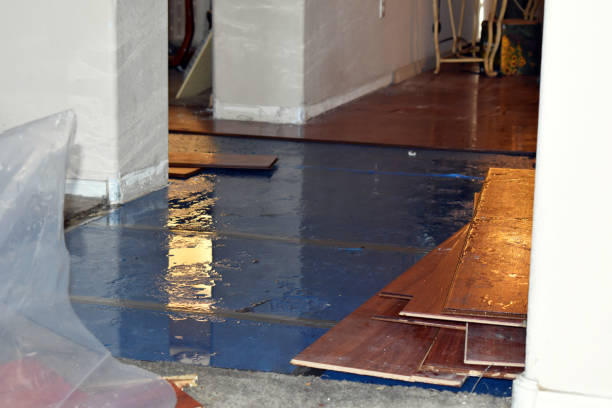 Professional Burst Pipe Cleanup technician working in Norwich, NY
